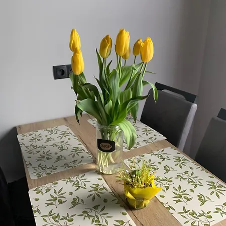 Bulwar Stare Głogów