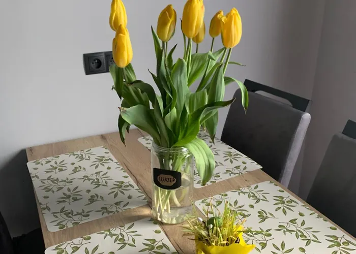 Bulwar Stare Głogów